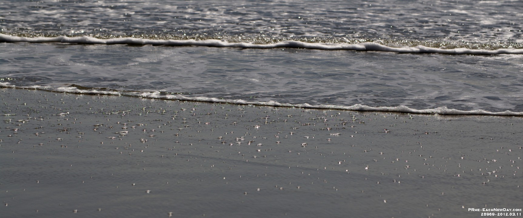 28969CrLe - Vacation at Kiawah Island, SC - Beach walk